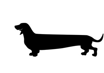 cute long Dachshund SVG vector cut file for cricut
