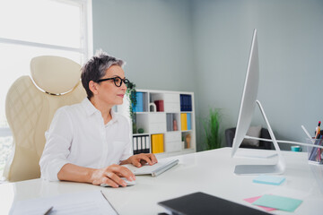 Photo of smiling positive lady manager dressed white shirt typing keyboard modern gadget indoors...