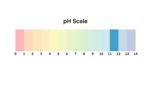 Ph scale diagram, Ph scale vector graphic, Acid to base, pH scale Infographic acid-base balance, Indicator diagram acidic alkaline measure isolated on white background illustration