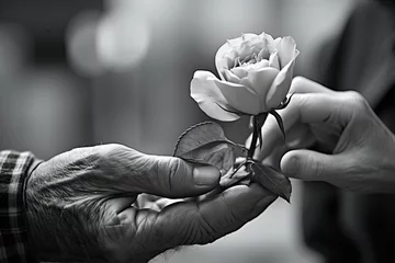 Fotobehang Elderly man giving rose to his wife. Closeup of hands and flower. Generative Ai © ArtmediaworX