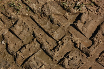 stone wall