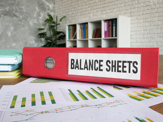 Balance sheet is shown using the text on the folder