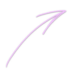 pink flower on white background