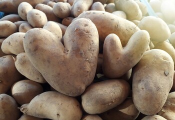 Zwei herzförmige Kartoffeln sind ein Symbol für Liebe und Romantik.