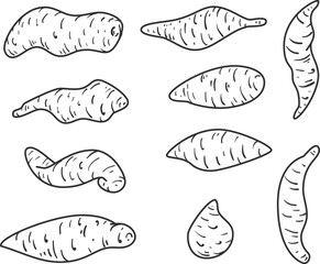 Set hand drawn silhouette sweet potato different form in cartoon flat style. Collection design various element for banner, icon, branding. Cute simple concept art. Health food. Vector illustration.
