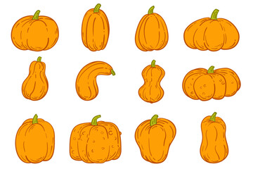 Vector set orange pumpkins different form in cartoon flat style. Collection design various element for banner, icon, branding. Cute simple concept art. Health food or farm plant illustration.