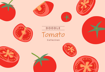 Vector about Hand drawn tomato collection.