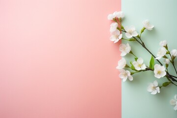 Flowers in pink and green background