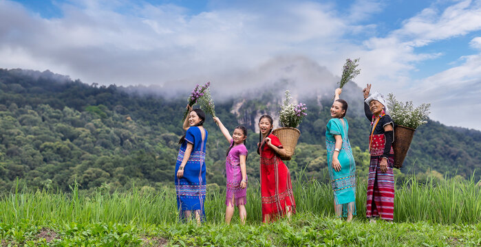 A group of women dressed in a Karen costume picks flowers and puts them in basket in mountains background. Teenagers group happy in green natural at the local country village Chiang Mai, Thailand