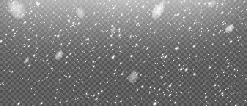 Falling  snowflakes in transparent beauty, delicate and small, isolated on a clear background. Snowflake elements, snowy backdrop. Vector illustration of intense snowfall, snowflakes.Christmas.