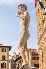 Italy, Florence. David by Michelangelo, antique marble sculpture, perfection man body