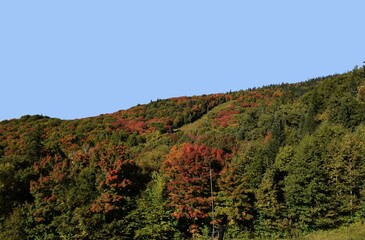 view from top of Mont-Tremblant towards the Laurentian mountains, Autumn scene
