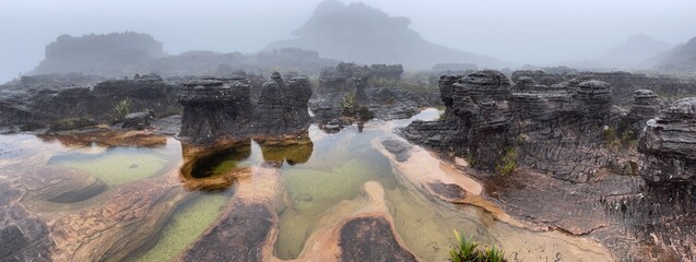 Surreal natural pools on top of table Mount Roraima, Venezuela, Canaima National Park, South America