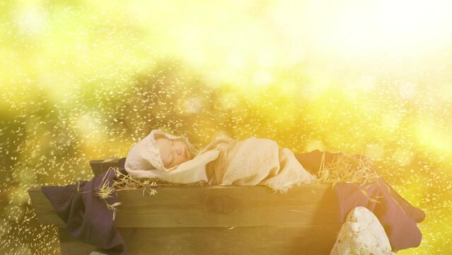 baby Jesus Christ in a manger christmas story