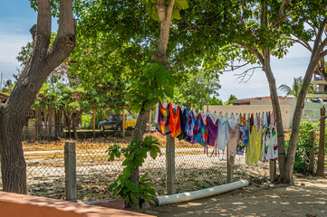Fototapeta na wymiar Zihuatanejo; de Azueta; Guerrero; Costa Grande; Mexico; Zihuatanejo, Mexico - July 18, 2023: Line of wet colorful laundry and bathing suits hanging between green foliage trees just off Playa Larga. Tr