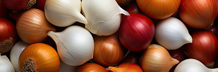 Onions of different varieties, banner background