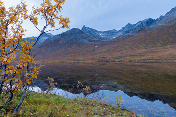 steile Berge auf der Insel Kvaløya, die sich im Wasser des Bergsee spiegeln, in Troms, Norwegen. tiefe Gletschertäler mit herbstlich gefärbten Bäumen und felsigen Gipfeln im Herbst. wunderbare Stille 
