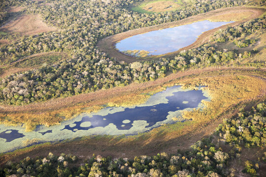 Aerial view to Pantanal jungle in Brasil.