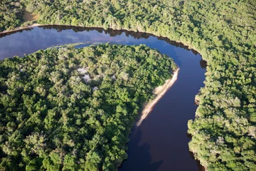 Fotobehang Aerial view to Pantanal jungle in Brasil. © Ondrej