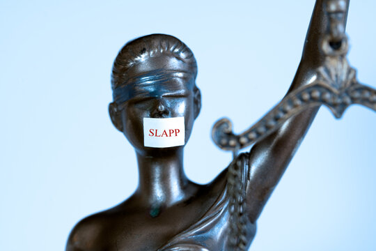 Strategic Lawsuit against Public Participation (SLAPP)