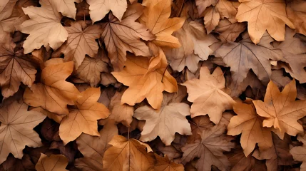 Foto op Aluminium dry leaves brown dry leaves Drop and pile up a lot. . Background for design  © Deshan