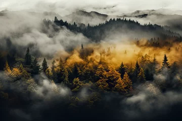 Fotobehang Autumn landscape with a dense forest and river © FrankBoston