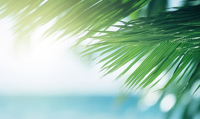 Fototapeta na wymiar Close-up of palm leaf with blurred tropical beach.