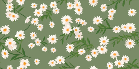 Chamomile flowers seamless pattern. Hand drawn white flowers with stems on pastel green background. Big cute flowers allover print