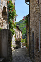 medieval village of La Malene in the Tarn River Gorge in the Cevennes National Park
