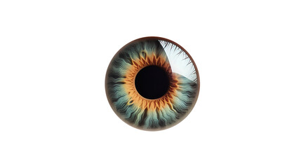 eye iris. Isolated on Transparent background. - obrazy, fototapety, plakaty