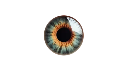 Foto op Canvas eye iris. Isolated on Transparent background. ©  Mohammad Xte
