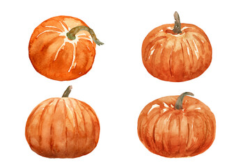 複数のオレンジ色のかぼちゃ　水彩イラスト