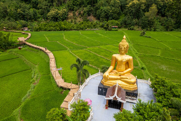 Golden Buddha in ricefield - 654403785