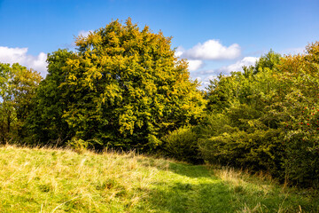 Sch&ouml;ne Wanderung durch S&uuml;dth&uuml;ringen rund um die Hohe Geba bei Meiningen - Th&uuml;ringen - Deutschland
