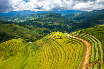 Vietnamese terrace ricefield under dramatic sky - 654405184