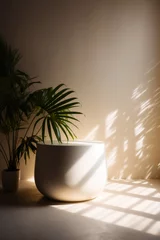 Foto op Canvas Podio de piedra blanco con plantas en interior. Estante para cosmética natural. © ACG Visual