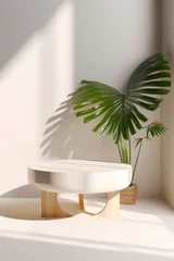 Foto op Canvas Podio de piedra blanco con plantas en interior. Estante para cosmética natural. © ACG Visual