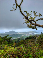 Kuliouou Trail on the Hawaiian island of Oahu - 654409984