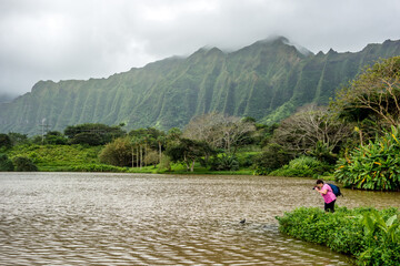Waokele Pond in Hoomaluhia Botanical Garden on the Hawaiian island of Oahu - 654409997