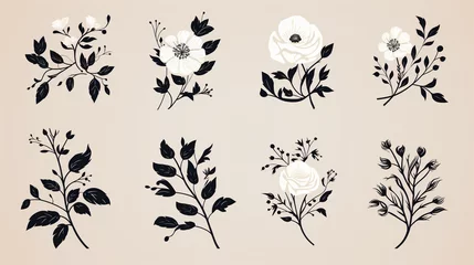 Poster Monochrome Botanical Illustrations, set of elegant botanical illustrations in monochrome, featuring various flowers and leaves with a vintage aesthetic on a neutral background © Viktorikus