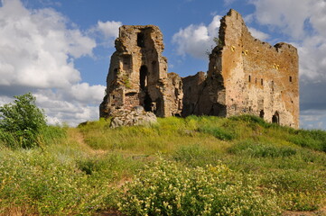 ruins of castle