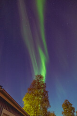Fototapeta na wymiar Lappland – Polarlichter – Aurora