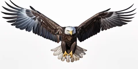 Foto op Canvas Bald eagle flying swoop hand draw and paint color on white background © BackgroundHolic