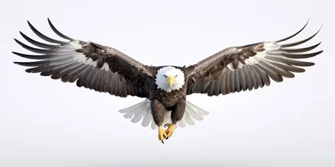 Gordijnen Bald eagle flying swoop hand draw and paint color on white background © BackgroundHolic