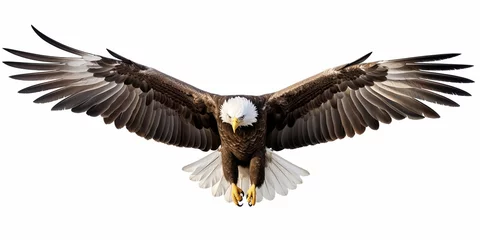 Zelfklevend Fotobehang Bald eagle flying swoop hand draw and paint color on white background © BackgroundHolic