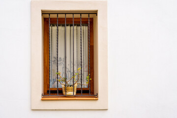 Wooden window with flower pots behind railings on a white facade