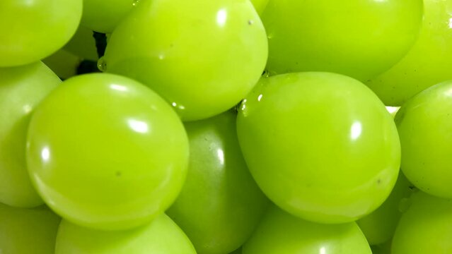 SHINE MUSCAT grape. Large yellow-green berries, crisp flesh texture, muscat flavor, high soluble solids concentration and low acidity. This one is 800grams, product from Okayama, Japan.