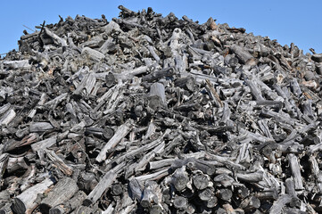 Pile of wood logs ready for winter