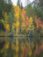Autumn Colors By The Lake - 654447948