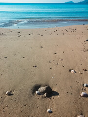 The stones left behind by the withdrawal of the sands by the sea.